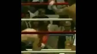 Mike Tyson vs Reggie Gross | Knockout | boxing | fight