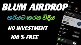 Blum Airdrop Sinhala | How To Connect Blum Wallet Sinhala | Blum Mining