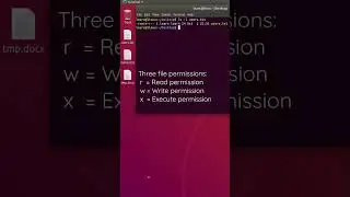 chmod command in Linux