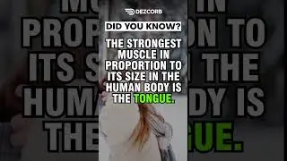 Did you know | Fact #20