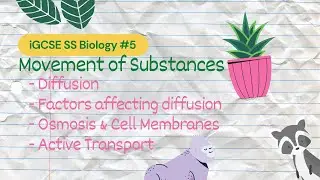 Movement of Substances | iGCSE SS Bio #5