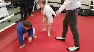 Борьба Липецк мальчики 5 лет 24 кг