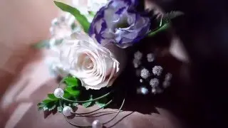 Свадьба Владимир и Елена
