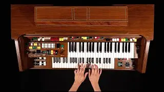 LOU WISS // Organ