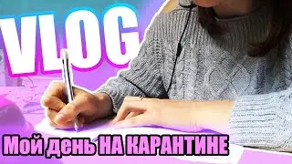 Мой день на карантине