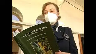 PARMA, UNA MALVASIA DA LEGGERE