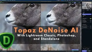 Using Topaz DeNoise AI with Lightroom Classic, Photoshop, and as a Standalone