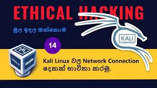 use two networks in Kali linux