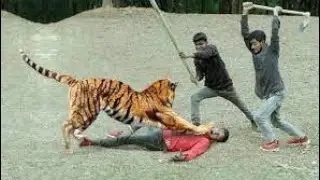 viral animals video 2023