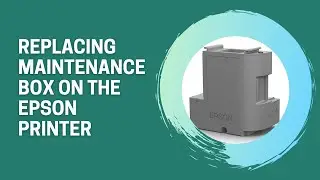 How to replace the maintenance box on Epson printer? | INKCHIP Solution