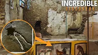 Archaeologists Uncover 2000-Year-Old Fast Food Spot in Pompeii | Ancient BBQ Shop
