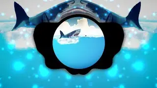Shark's Escape - BigBoiSharkk