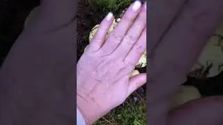 У Марины сегодня будет праздник