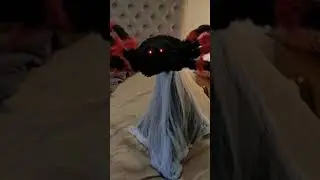 red black jumping spider halloween