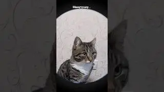😰😵
