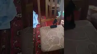 24 часа на кровати