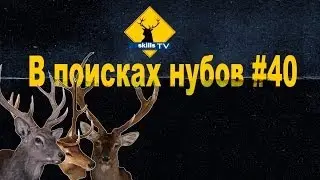 В поисках нубов #40