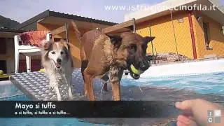Piscina prima uscita 2013