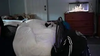 new live stream plus sleep stream