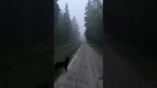 Просто послушайте..