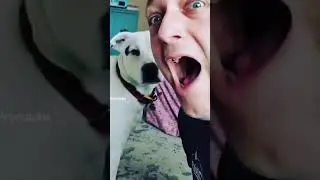 Dog Cleans My Face After I Belch
