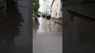 вывод мани на карту 