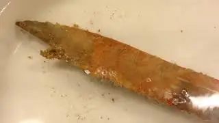 bıçağın  pasını  çıkarma