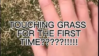 420 SUBS SPECIAL+TOUCHING GRASS