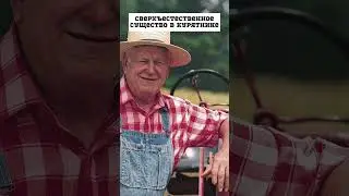 Сверхъестественное существо в курятнике