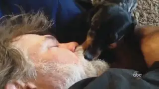 Смешное видео с людьми и животными