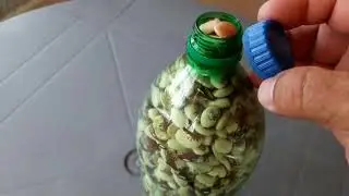 How to Store Beans for 8 Years Without Ruining This Tip YOU DIDN'T KNOW