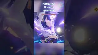 Сёгун Райден С0 билд в Мастерство стихий. Genshin Impact