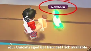 How to ACTUALLY Make a MEGA in 15 Minutes.. (Adopt Me 2023)