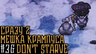 Don't Starve Together: #36 Сразу 2 Мешка Крампуса [344-353 день]