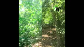 *Free for profit* hyperpop + kayyo + sqwore type beat - 