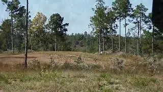 Level 2 Barbour Creek long range School