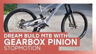 PINION ENDURO MOUNTAINBIKE DREAM BUILD