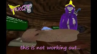 How to Take Care of a Capybara 101