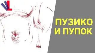 Торс спереди: Пузико и пупок  [Александр Рыжкин - Избранное ч.26]