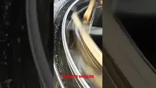 Пошел липовый медок! 