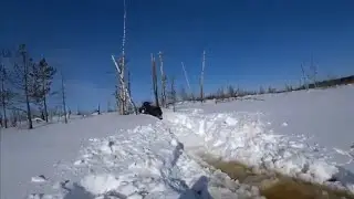 Лучшие друзья на рыбалке.Скандик вновь доказывает что он лучший в своем деле!