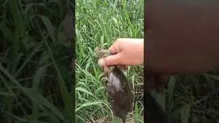 #рыбалка