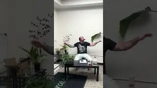 Introduction to Home Grow: Utilizing Clones
