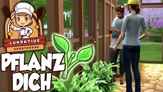𝗚𝗘𝗪Ä𝗖𝗛𝗦𝗛𝗔𝗨𝗦 𝗙Ü𝗥 𝗙𝗥𝗔𝗡𝗖𝗢𝗜𝗦🌱 👨🏼‍🍳 Lukrative Hobbyüche | 24
