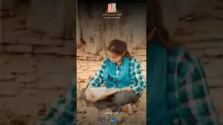 Let's develop a network of little free libraries - Gosha e Zehni Taskeen -