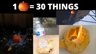 30 THINGS TO DO WITH A TINY PUMPKIN