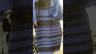 WHITE and GOLD and BLUE and BLACK DRESS #shorts