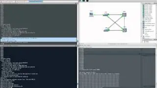 HSRP in Action