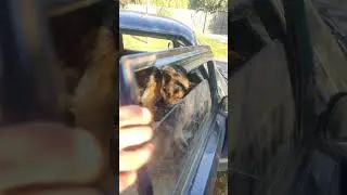Лучшая сигнализация в машину