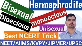 #Bisexual